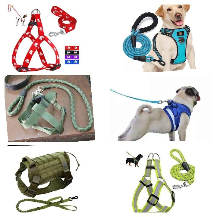 PetspaceK's tweet image. Variety of dog leashes and harness available. 
1200-4000
Contact 0724320590