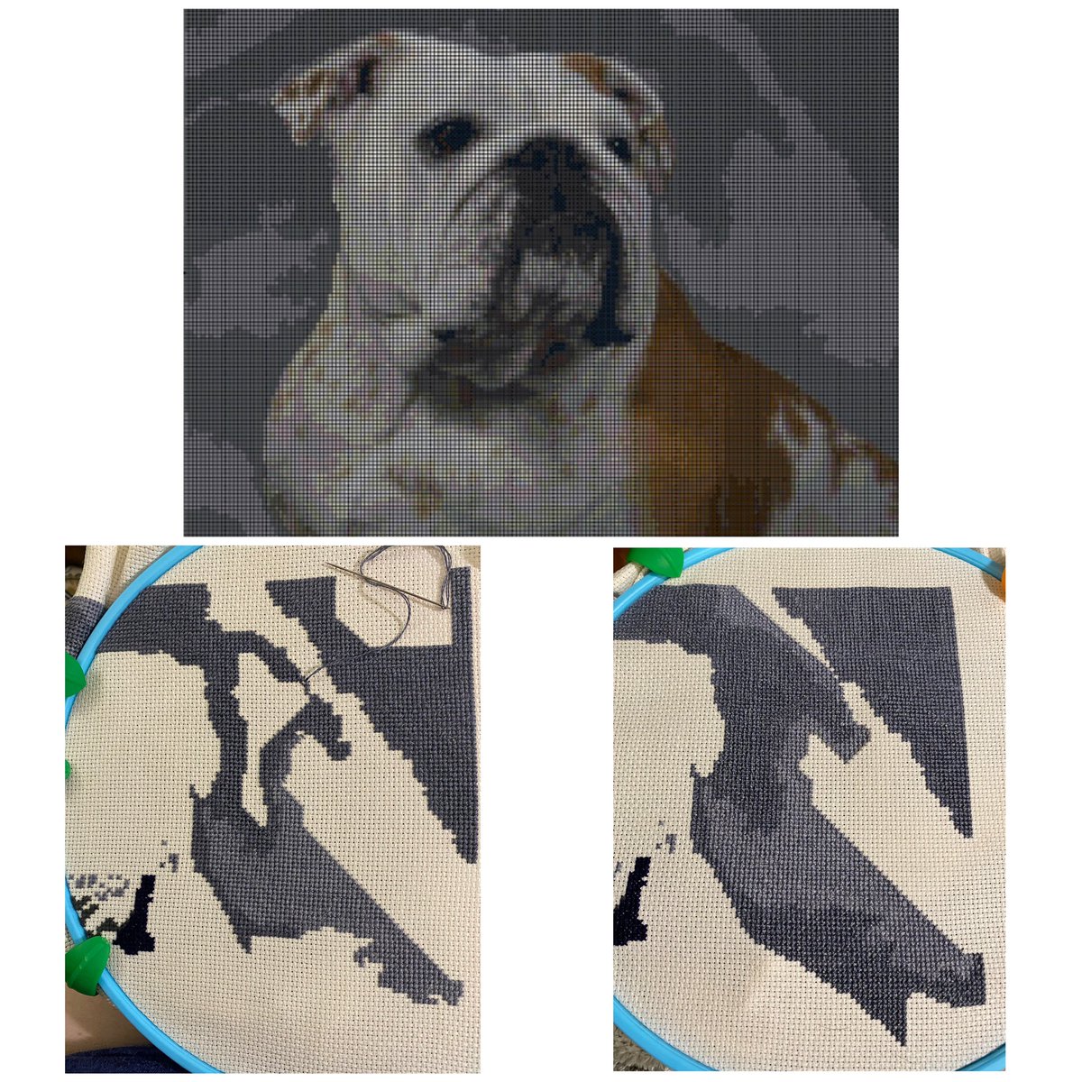 StitchbyRachel's tweet photo. It’s been another challenging week personally &amp; professionally, so all I could do was stitch huge blocks of color. Couldn’t handle much else than #dmcthreads Grey #dmc414 #stitchbyrachel #tulanethebulldog Things are turning around. https://t.co/nyzQXNOVjL
