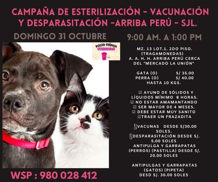 munaype's tweet photo. Campaña de esterilización en San Juan de lurigancho https://t.co/DLAgYG83oi