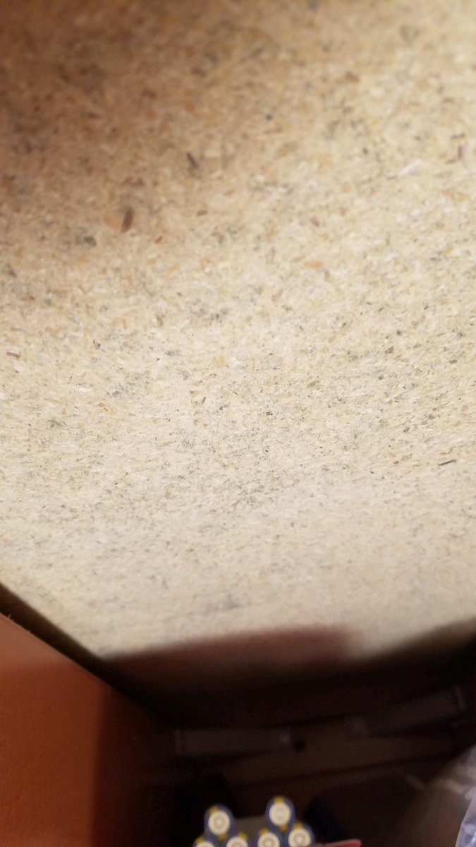 KEEP LOOKING!!! 👀… <a href="/CTHealthLink/">CTHealthLink</a> <a href="/CTDPH/">CT Public Health</a> <a href="/CTHouseDems/">CT House Democrats</a> <a href="/YaleGH/">Global Health @ Yale</a> <a href="/GovNedLamont/">Governor Ned Lamont</a> @MayorBronin <a href="/LGSusanB/">Lt. Gov. Susan Bysiewicz</a> <a href="/tinadetelj/">tina detelj</a> <a href="/GrotonCTPatch/">Groton Patch</a> <a href="/CTPublicHealth/">CTPublicHealthAssoc.</a> <a href="/NewLondonPatch/">New London Patch</a> <a href="/NLHousing/">NL Housing</a>  <a href="/FOX61News/">FOX61</a> #branfordmanor #ShibaArmy #SHIBARMY