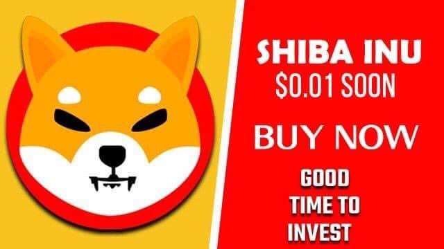 PeopleDreamers's tweet photo. @DelCrxpto Great news. AMC theater is accepting shib as payment. My God, shib will be overcome Bitcoin near future. Buy shib now and secure your future. Just invest few hundred dollars. https://t.co/Q0ioCLM2VG