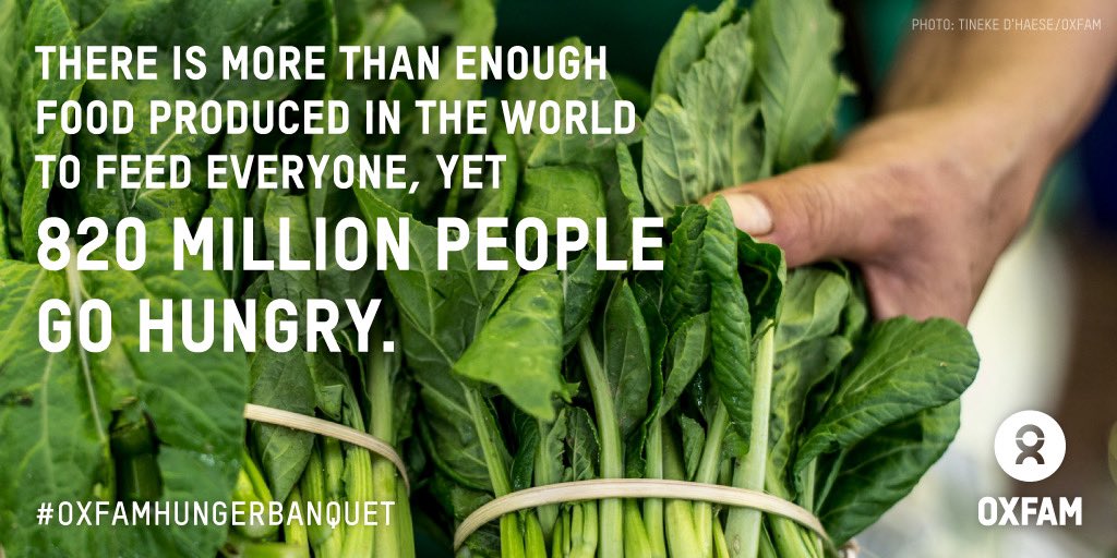 Did you know? #bravenationfeeds #foodlionfeeds