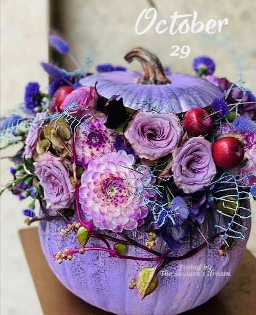 LejmanMargie's tweet photo. October 29π
#prettypumpkins https://t.co/p3phgkdhWu