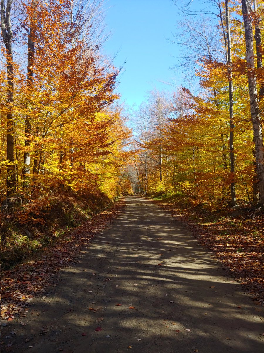 Some days, a dirt road takes us exactly where we need to be.