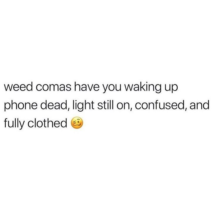 DoinkRollerz's tweet photo. Weed naps hit different https://t.co/YiRdDzEfwo