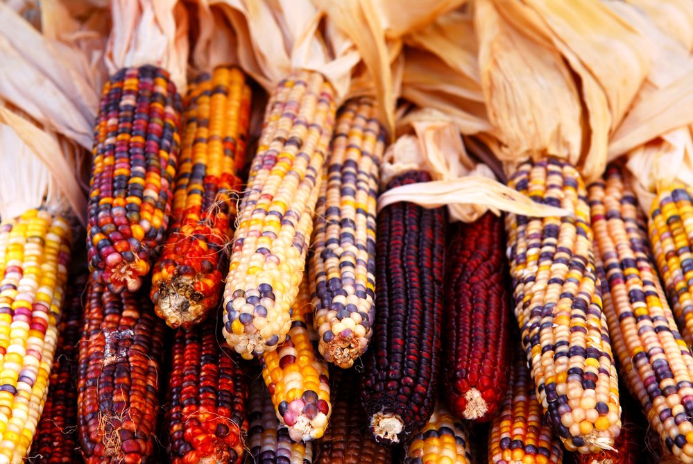 iiamericas's tweet photo. Thanksgiving is everyday in a Traditional Home - https://t.co/4Vp8Ngau3K https://t.co/IEs3y9hoSH