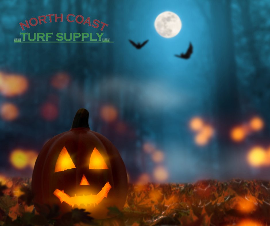 NCoastTurfSup's tweet photo. It’s spooky season! Have a wonderful Halloween! 🎃👻

#NorthCoastTurfSupply #Halloween #HappyHalloween #HalloweenWeekend #Weekend #Holiday #HolidayWeekend #SpookySeason #AvonOH https://t.co/L9RRxH3JCb