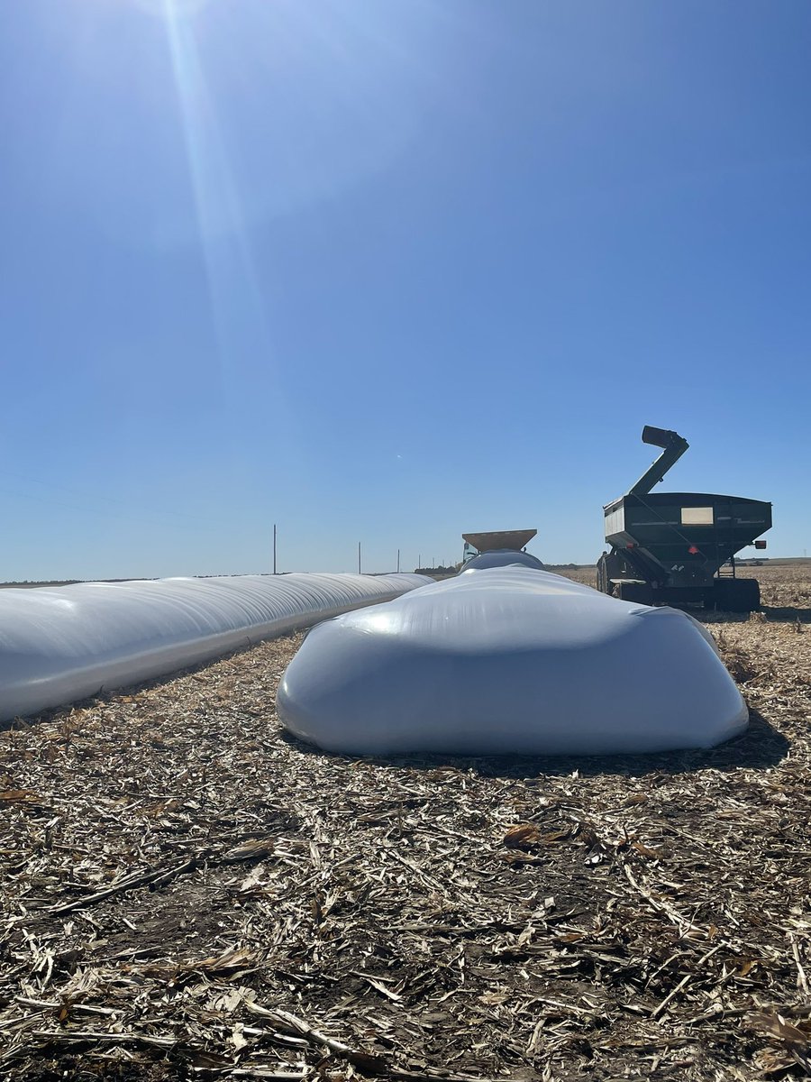 High Farm News tweet media