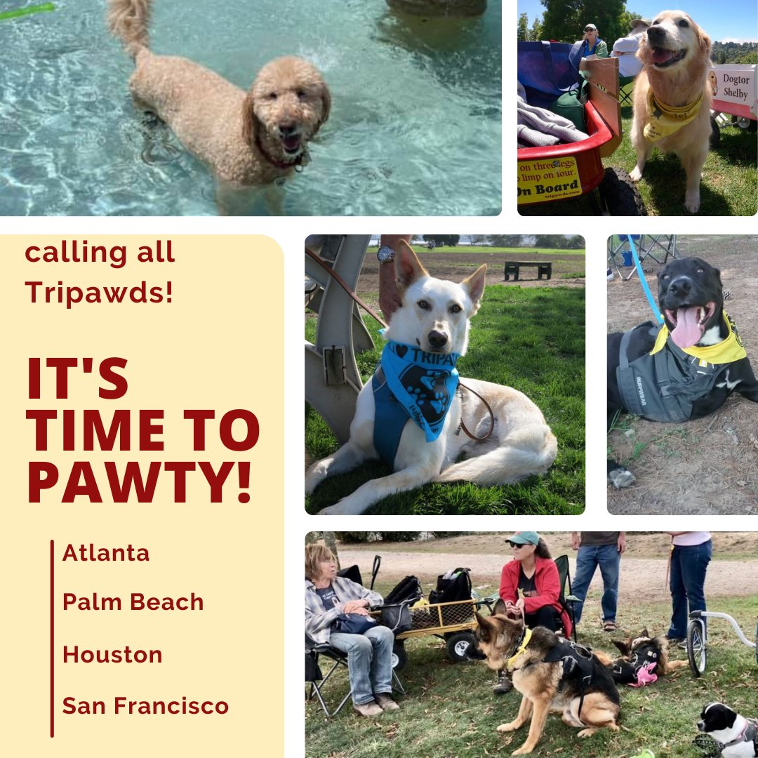 Tripawd's tweet photo. #RT @Tripawds: Are you near any of these cities? 🎈 #Tripawd parents &amp; pooches are ready to pawty!  🎉 Visit our Tripawd Parties Forum topic to plan your event now! 
🐾 
#TripawdsofAtlanta #TripawdsofHouston #TripawdsofFlorida #BayAreaTripawds #threeleg… https://t.co/bPvVTo9sKE