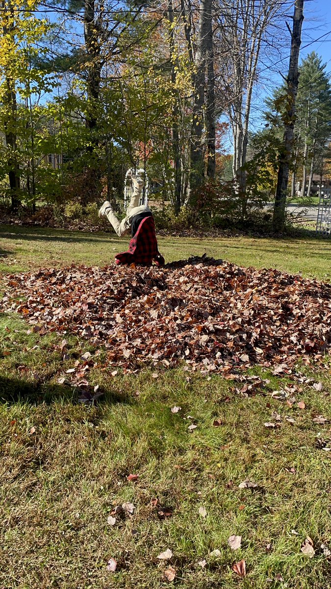 PuglisiV's tweet photo. Took a break to jump in the leaves #ELGivesBack2021 https://t.co/tLTv3FAak2