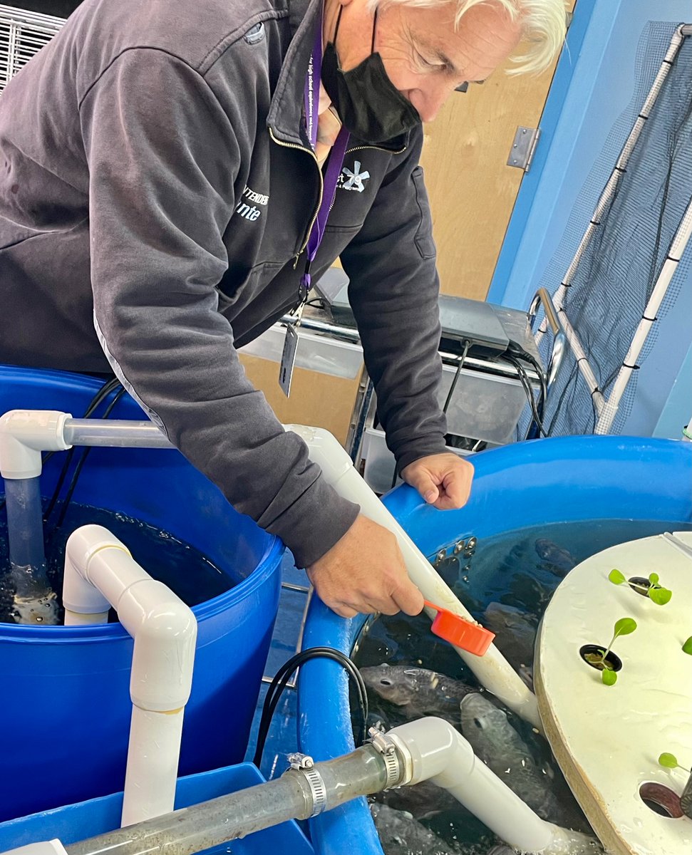 TimLisante's tweet photo. BROOKLYN DEMOCRACY Transfer HS: Today in Brownsville, Shoutout to: Principal Peralta (pics) in hydroponics class where I got to feed the fish. Also A.P. US History class pic @DOEChancellor @ofdc_nycschools @transferhs @missionsociety @ACCESS_NYCDOE https://t.co/Y7U6LC9IGg