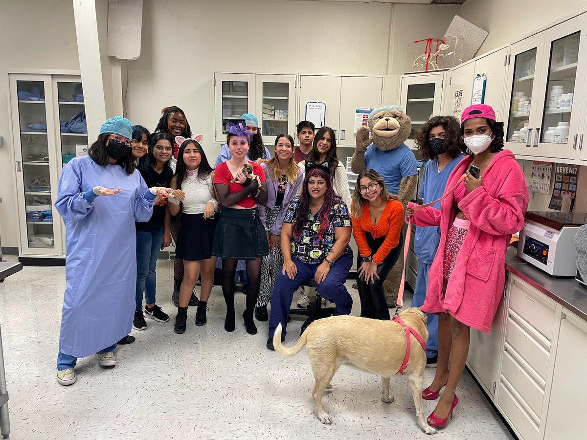 CCTE_AgVetTech1's tweet photo. Happy Halloween from CCTE Veterinary Assistant Program @CCTE_AgVetTech1 https://t.co/jLsBzXJCLV