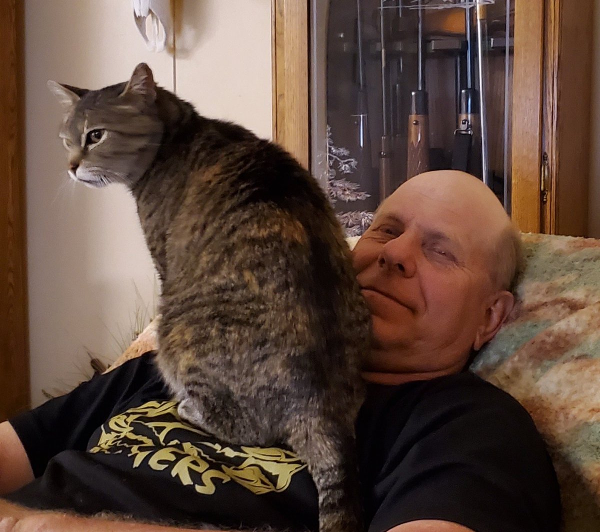 DallasMillin's tweet photo. Heard today was #NationalCatDay so I had to shout-out some of my best friends from over the years https://t.co/LyeFHuwMxb