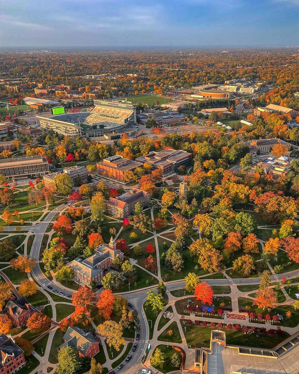 MSU Alumni tweet media