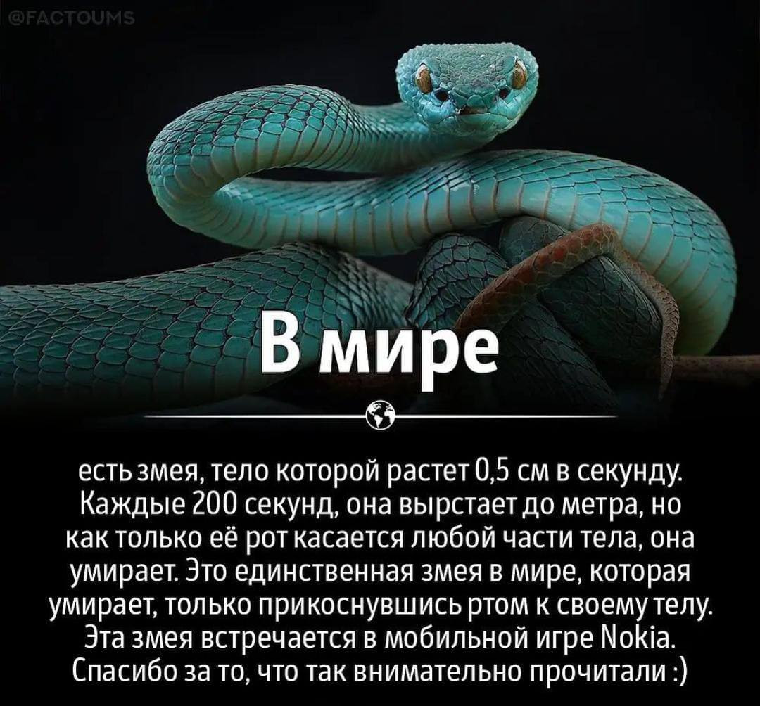 6 Интересных фактов о змеях