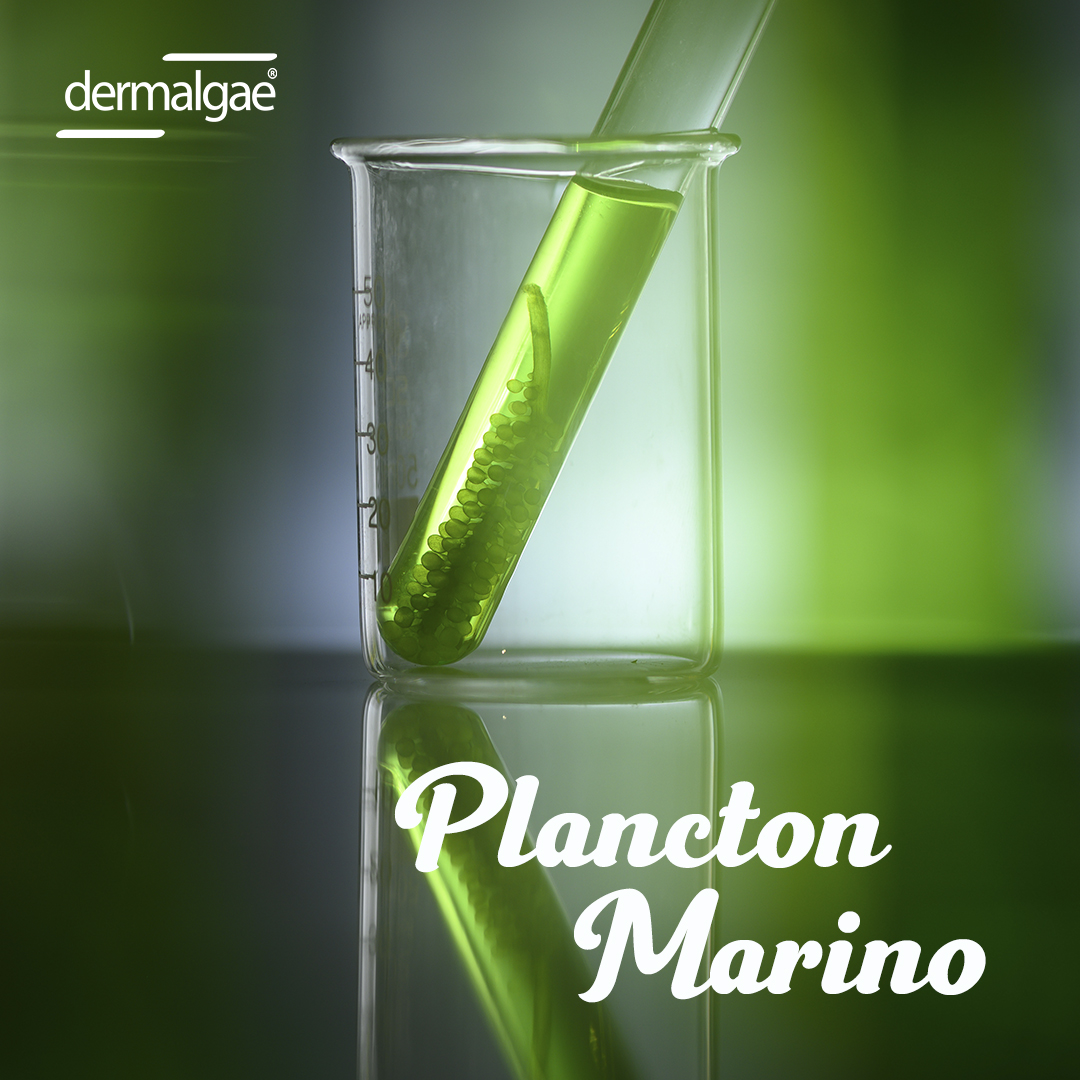 dermalgae's tweet image. Además de los numerosos beneficios que tiene la gama DERMALGAE, nuestros productos naturales ayudan a cuidar al medio ambiente, contribuyendo día a día en la lucha más importante para nuestro planeta 🌍
dermalgae.com