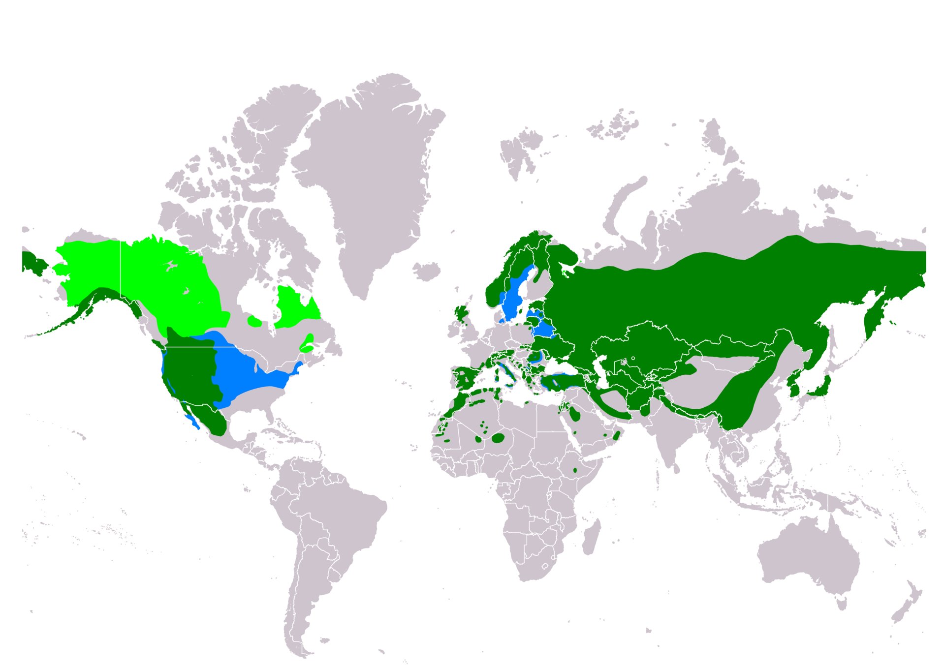 Обыкновенный фазан ареал обитания. Зона обитания биовида. Зона обитания биовида. Вальдшнеп ареал обитания на карте. Зона обитания биовида.