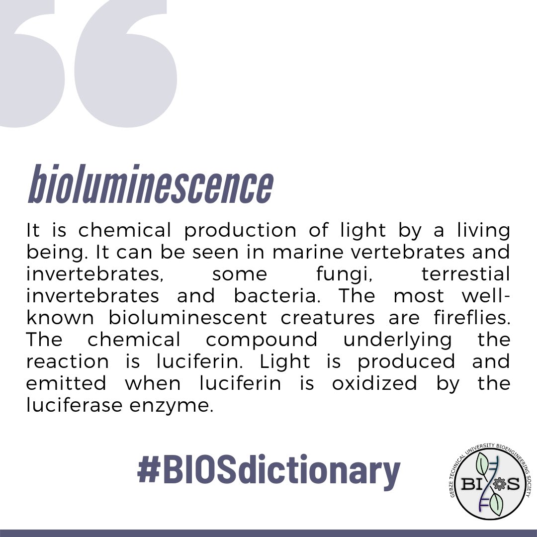 BiosGtu's tweet photo. Ateş böceği gibi canlılarda bulunan kimyasal bileşik lüsiferinin oksitlenmesi ile canlılarda ışık üretilmesi olayı olan biyolüminesans #BIOSdictionary’de.
Her hafta yeni bir kelime için bizi takip etmeyin unutmayın 💫 https://t.co/HD8dfv5cpf
