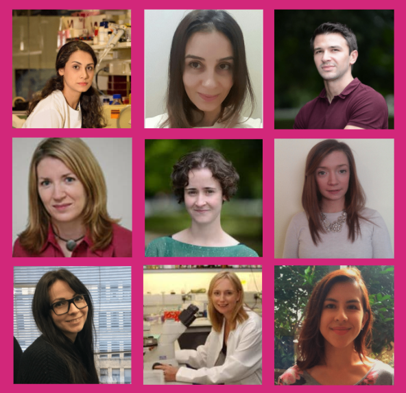 Consistent and intensive breast cancer research is vital in advancing a cure to what can be a devastating disease. Meet some of the amazing researchers that are changing the landscape, positively, of this disease into the future 👏 breastcancerireland.com/research/resea…