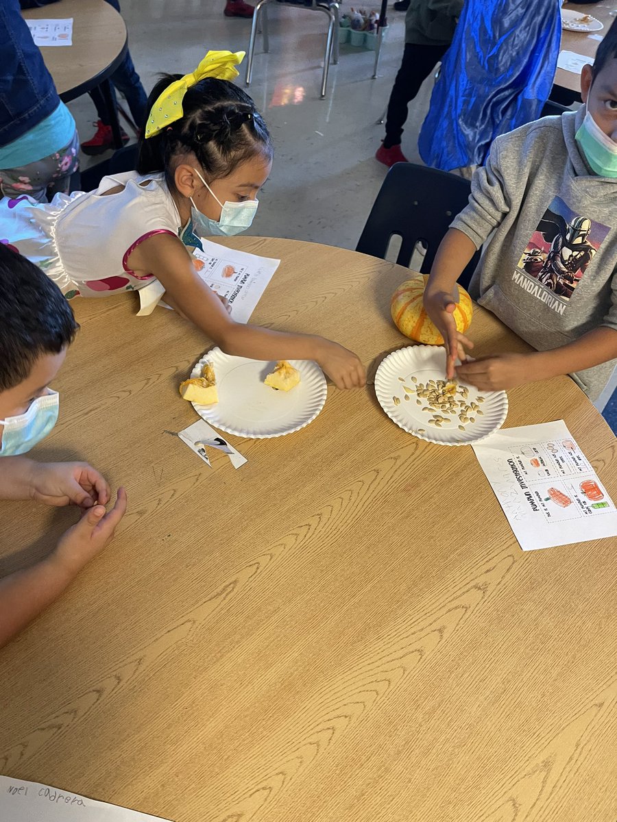jimenezmcbee's tweet photo. Pumpkin dissection π how many seeds does my pumpkin have? π€·πΌββοΈπ #beeslearning #pumpkins #bumblebees @ElementaryMcbee @MsHuerta512 https://t.co/Zfa2wZybfp
