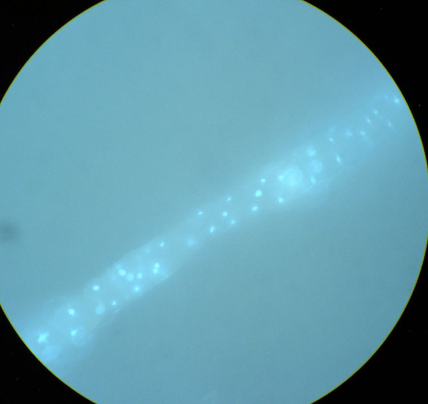 Michele Wiseman tweet media