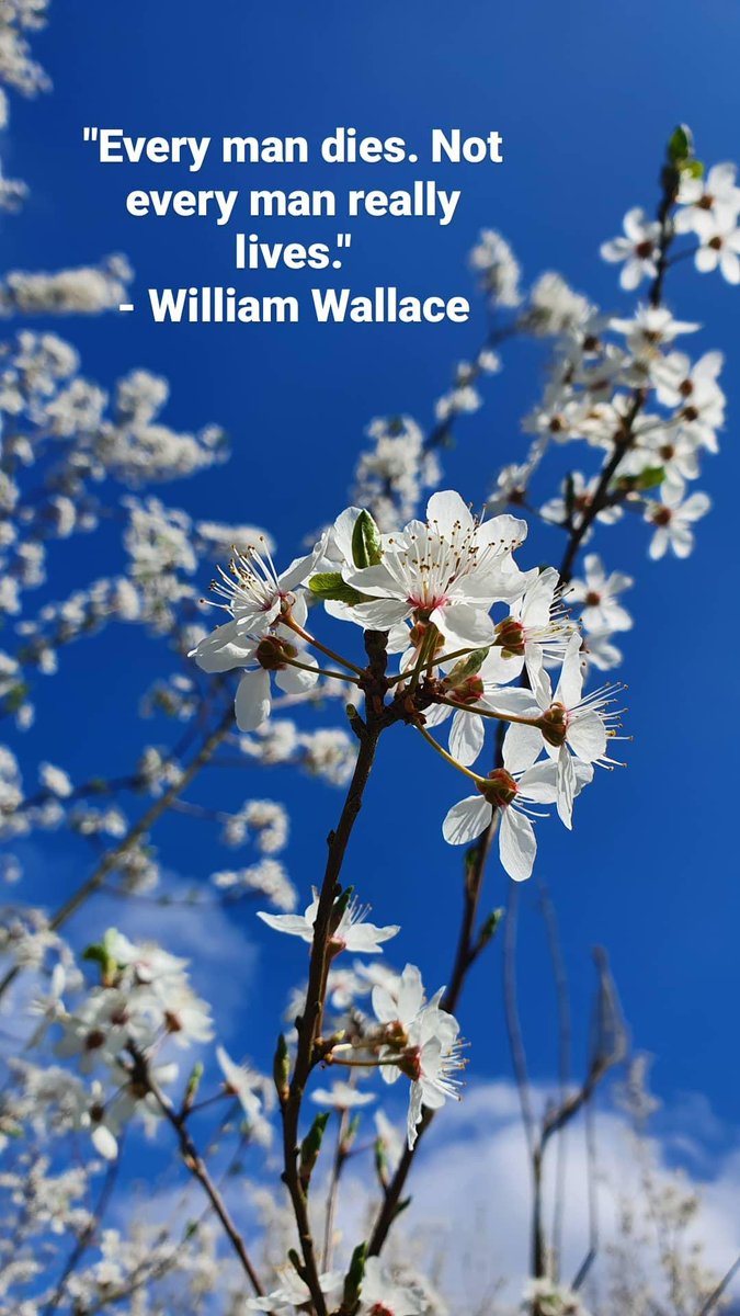 TheMeWannaBe's tweet photo. #WilliamWallace #Quote #POTD https://t.co/aFnpMvCes4