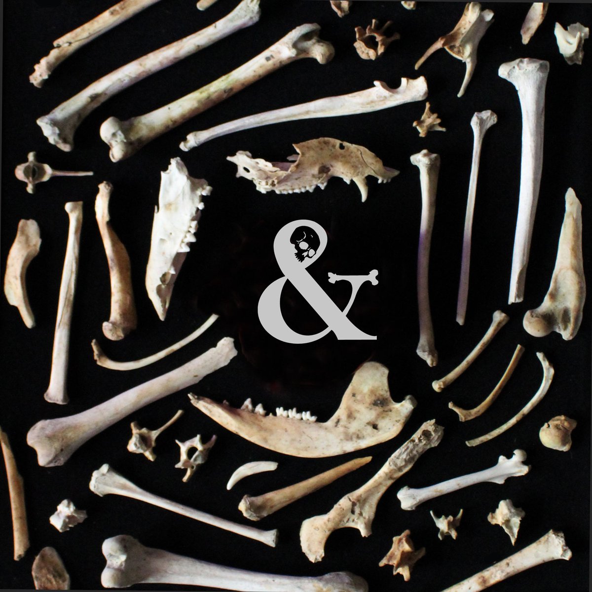 Final days of 💀 Skulls &amp; Bones - mailchi.mp/1e679782f663/s…