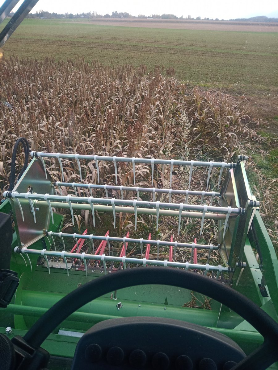 BenoitMallinger's tweet photo. On sent la fin de moisson, journée bien rempli. Récolte des 160 maïs grain (variété, biostim) de @bigard_q puis changement et récolte des sorgho grain avant les pluies même si pas sec. Bon c'est pas exceptionnel pi dur à régler la machine. Et fini par du chia. Apéro maintenant 🍻 https://t.co/m3KQAPVStP