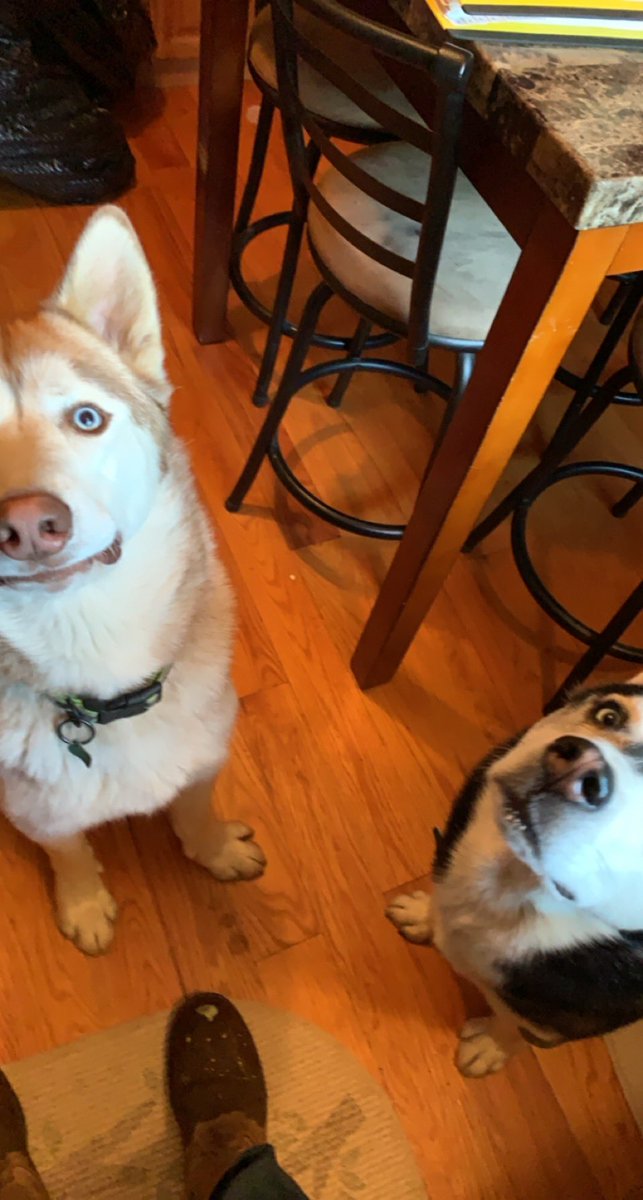 browncolton6's tweet photo. @WhiskOp @Diiscc @TTfue As are mine https://t.co/O0KhaoBY4h
