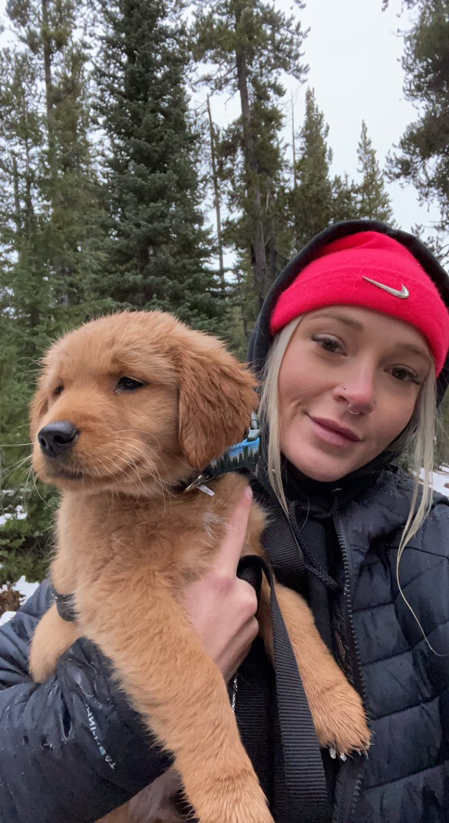 eimajwot's tweet photo. Twitter fam! I haven’t introduced you to Summit yet… my fluffy little lover butt is a red retriever and he is 9 weeks old now. My dream puppy 🥰💛 https://t.co/Eif0ruzwSF