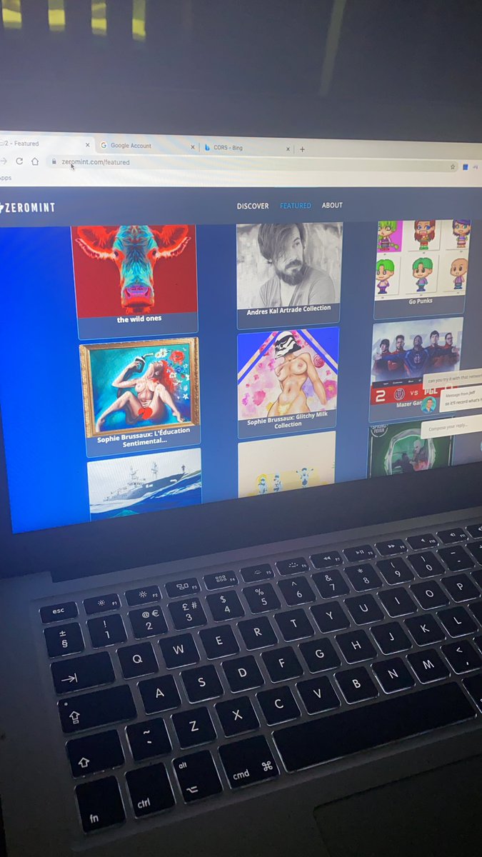 CryptoNala's tweet photo. So happy to see my collection #TheWildOnes up on the featured wall!! Thank you @zeromintapp and @benhn_1 with his inspiring #GoPunks https://t.co/QLVv30lNGo