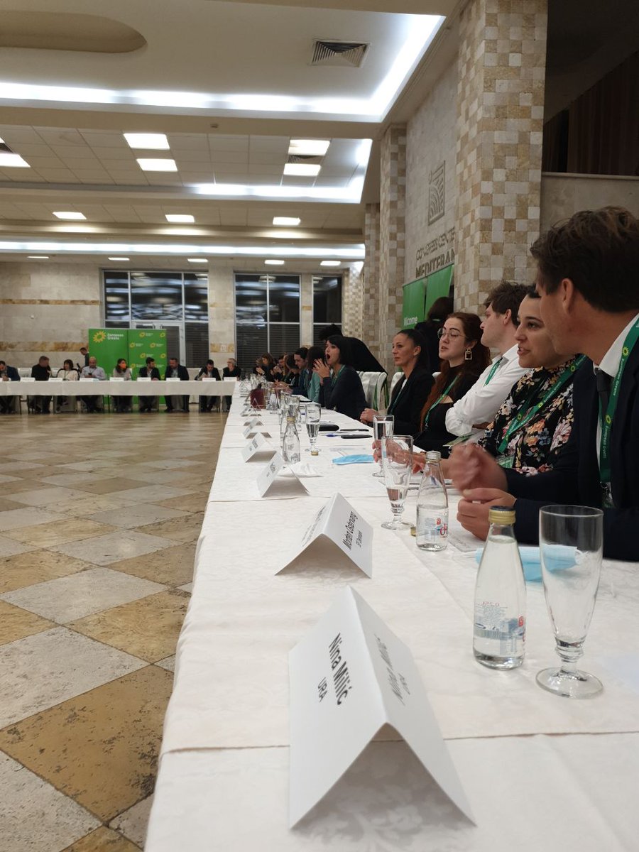 🇲🇪 On 29-31 October, Green leaders across Europe are gathering for a Balkan regional meeting in Bečici, Montenegro. 

🌱 They’ll be discussing what a common Green future for Balkan and Europe can look like!