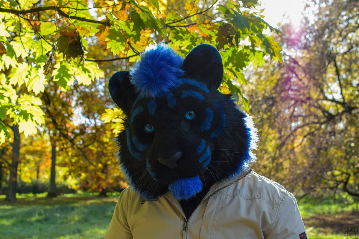 TharoCZ's tweet photo. Walk in the sunny park
📷@ElaborateBeast

#fursuitfriday #furry #furryfandom #fursuit #Happyfursuitfriday #furries #fursuiter https://t.co/GO695DjLvl