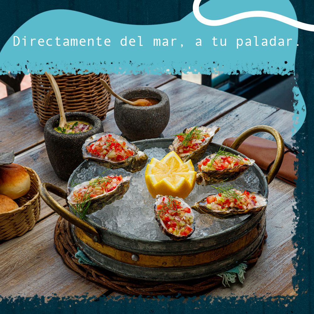 PuntaCorcho's tweet image. Lo que te recomendamos para esta tarde. ⚓️

🦪 Ostiones con pico de gallo de xoconostle, limón amarillo y yuzukosho y yuzu fermentado con chiles verdes.

#PuntaCorcho #PuertoMorelos