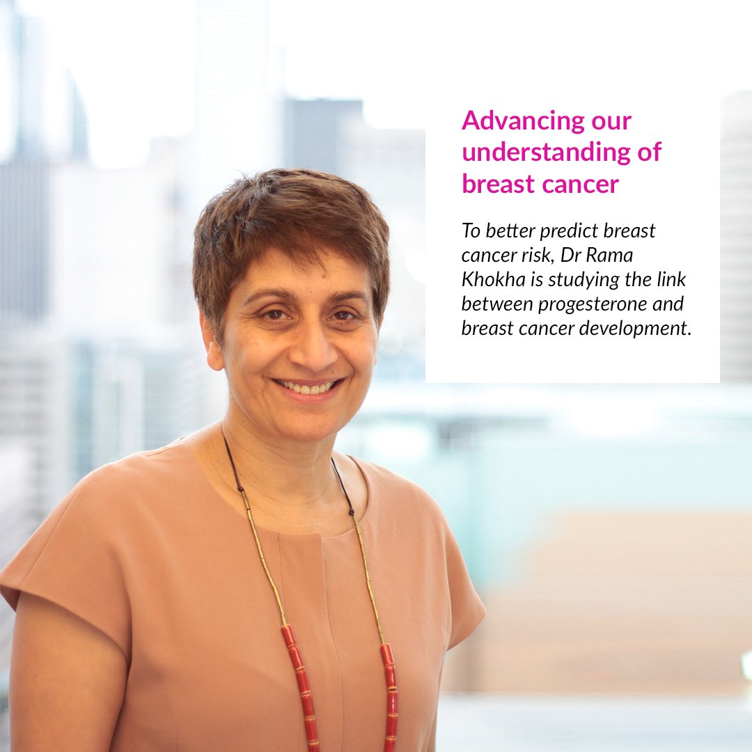 cancersociety's tweet photo. Researchers already know that exposure to progesterone is a risk factor for #BreastCancer – but they still know little about how the hormone contributes to breast cancer development. In this thread, learn how Dr Rama Khokha is working to bridge this gap in understanding. https://t.co/91Ai7WyfWR