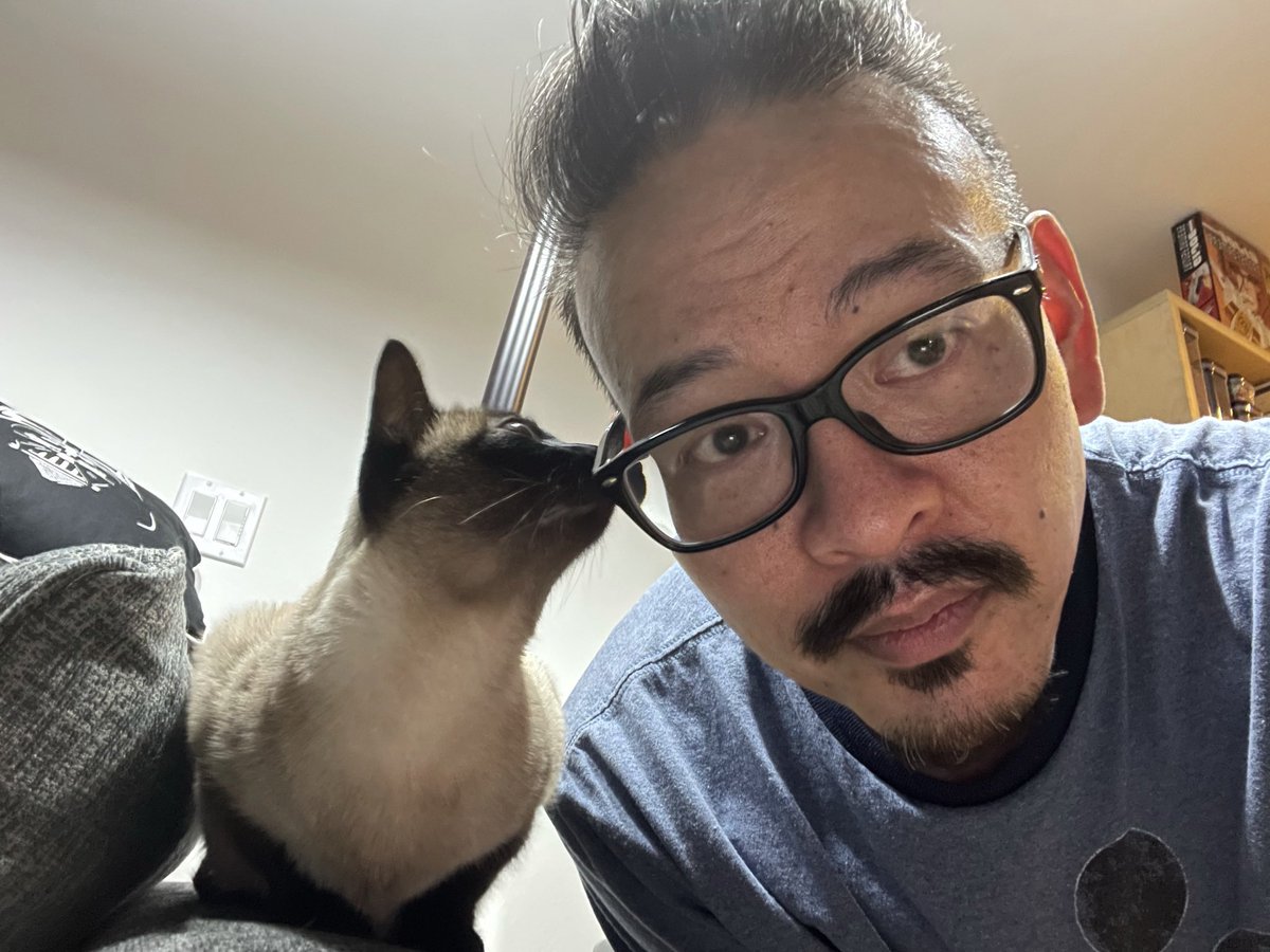 Oh, it’s #NationalCatDay? Here is my poof, Nola-Grant.