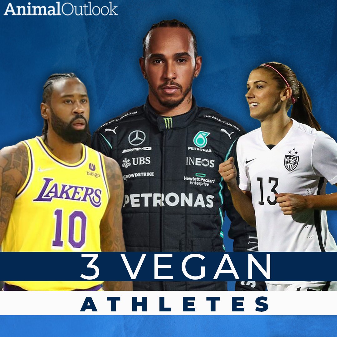 animaloutlook's tweet photo. Vegan #athletes are on the rise. More and more athletes are seeing the value in adopting a vegan diet and proving you don’t need animal products to compete at the highest level. #TryVeg https://t.co/ArPEdjSngb