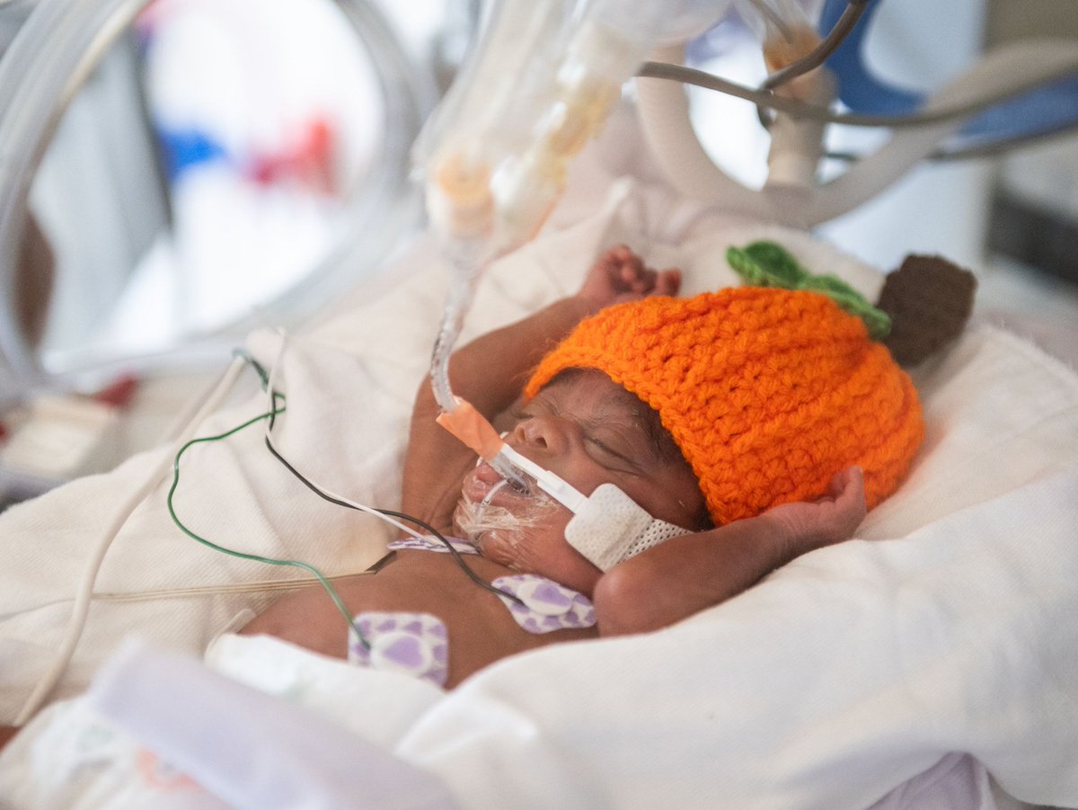 wxyzdetroit's tweet photo. The NICU patients at C.S. Mott Children's Hospital are celebrating their first Halloween. 🎃 https://t.co/dHzYr6Anbj