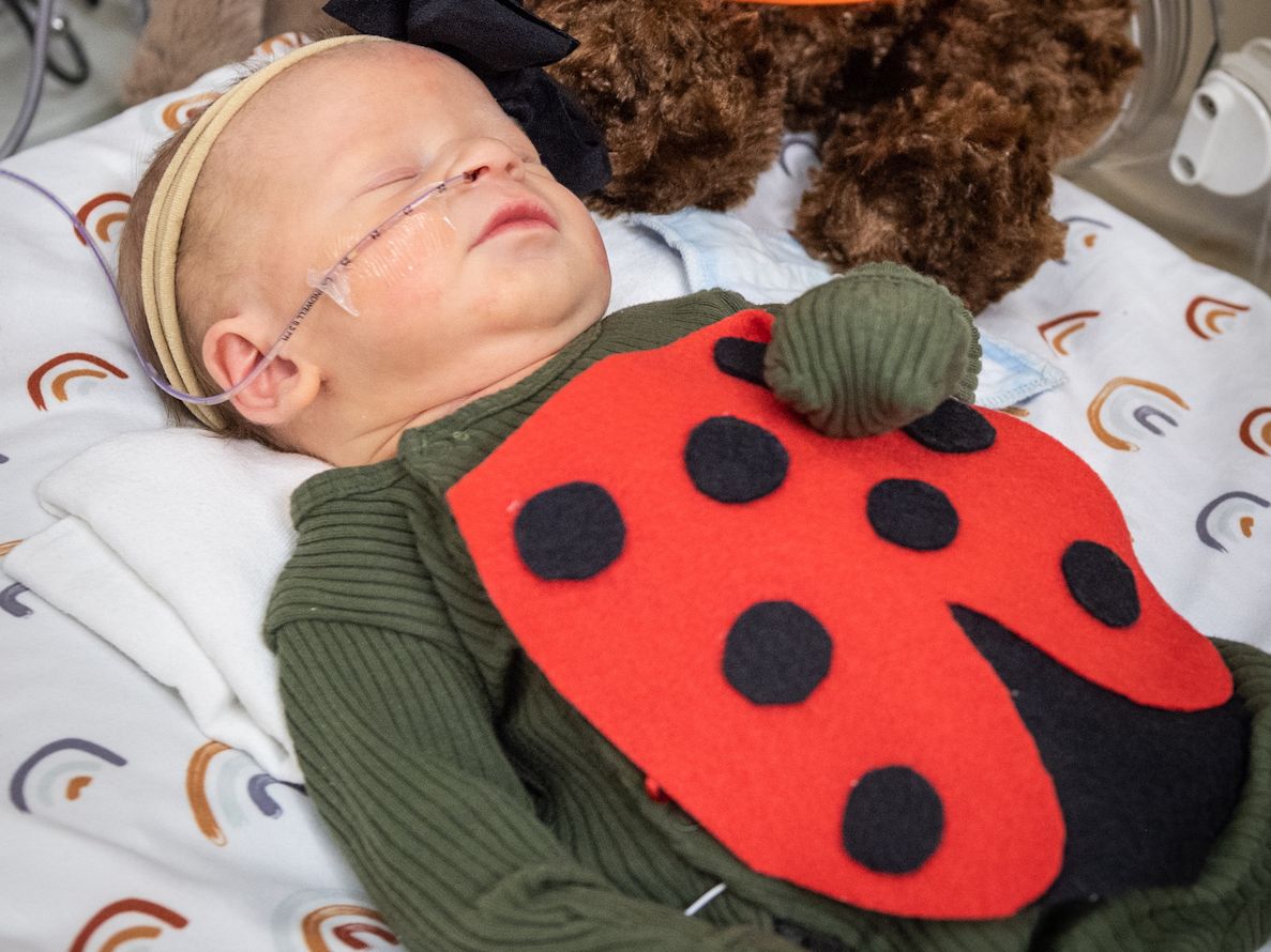 wxyzdetroit's tweet photo. The NICU patients at C.S. Mott Children's Hospital are celebrating their first Halloween. 🎃 https://t.co/dHzYr6Anbj