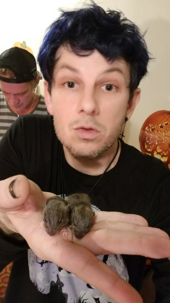 MarkEMarktweets's tweet photo. I dont care if you think its gross. They deserve to live..My #cat #liebchenthecat brought me these #mice as a trophy. They're just babies..ima care for them...calling them #Chucky and #TIFF 💜
Wish them luck! https://t.co/Nk0ffoEpxI