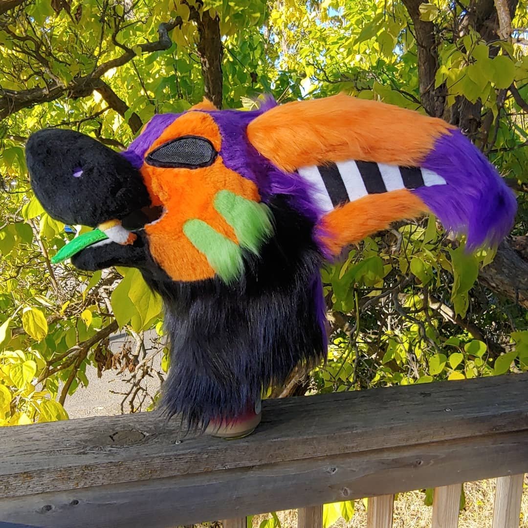 PodTiddy's tweet photo. Happy #FursuitFriday ! This adorable Halloween Premade is looking for a home! For $1500 it comes with a head, paws, tail and dorsal fin!

Can be upgraded to a full suit for $3200! 

#furry #fursuit #fursuitforsale #furryfandom #furries https://t.co/vlPFQcPsUi