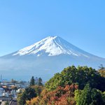 ツイートに含まれる画像