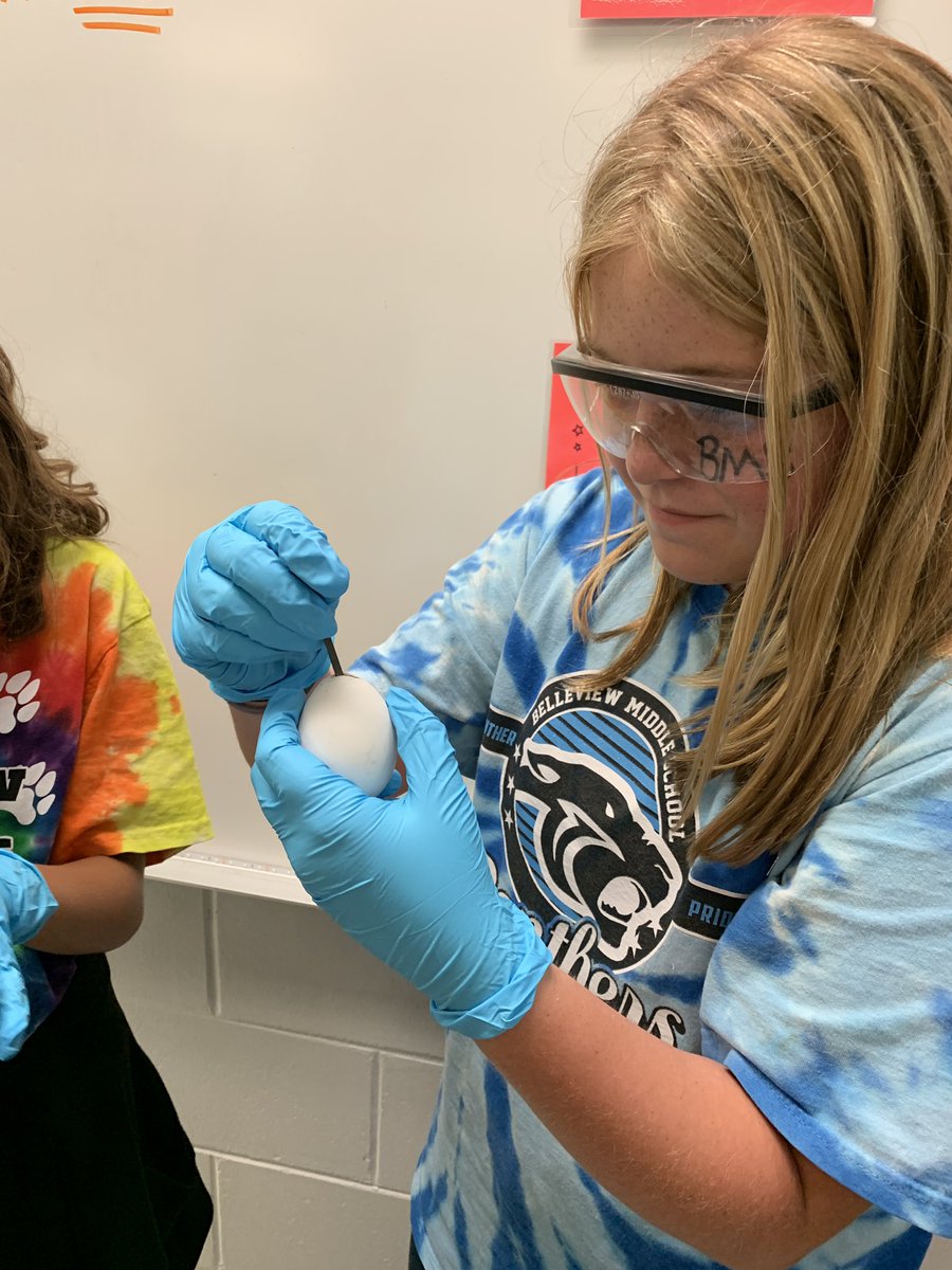 MrsH_SciLab's tweet photo. Ss review one of the ways mineral crystals grow and become part of rocks, change Earth’s surface, super-saturated solutions, (and have a little fun 😉) through the creation of their “egg geodes” this week! @BMSPantherPride https://t.co/LVW932akXa