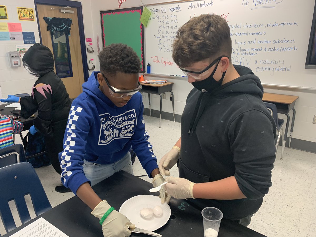 MrsH_SciLab's tweet photo. Ss review one of the ways mineral crystals grow and become part of rocks, change Earth’s surface, super-saturated solutions, (and have a little fun 😉) through the creation of their “egg geodes” this week! @BMSPantherPride https://t.co/LVW932akXa
