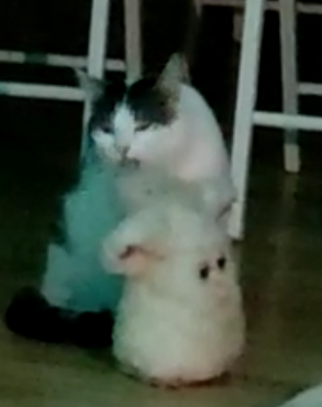 Paul Terra (@terranigma94) on Twitter photo 