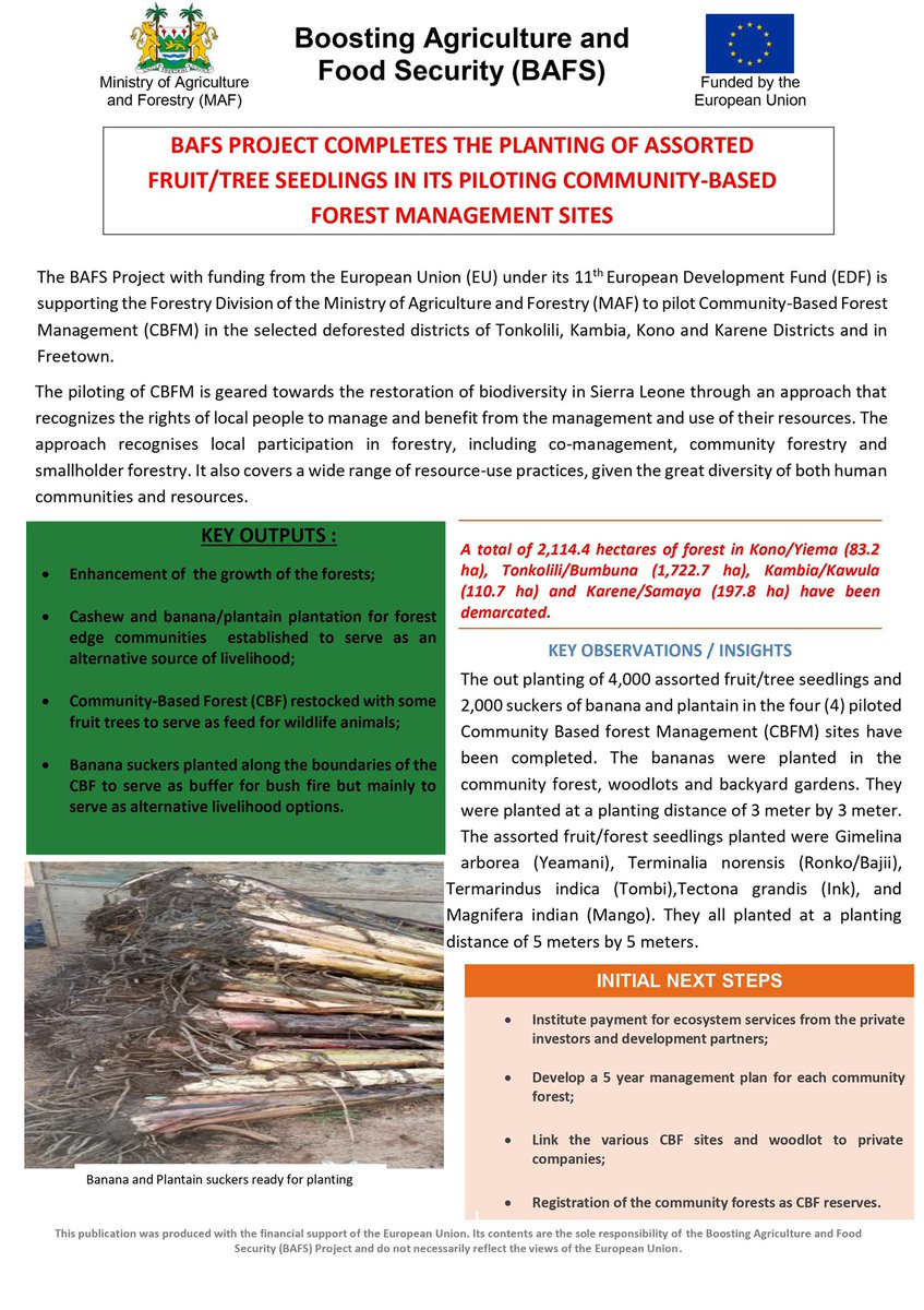 BafsLeone's tweet photo. More information on the EU’s support to the agriculture sector in Sierra Leone can be found on the BAFS website https://t.co/kzH82yzX2A and the NAO website https://t.co/pLTVfw9UY4. @jckpawoh @AmbroseJames12 https://t.co/oKYpwcRVpO