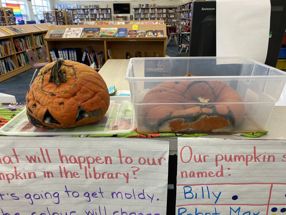 WilshireLibrary's tweet photo. Wasn’t too sad to say goodbye to our #LibraryPumpkins but they sure sparked a lot of excitement, wonder & learning while they were here! #PumpkinInquiry https://t.co/jnAO3R4TYX