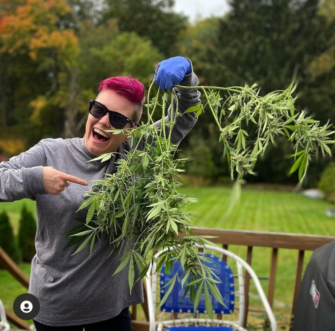 pot_pocket's tweet photo. Go ahead 🌱 #growyourown it's legal #Grassachusetts #CannabisCommunity https://t.co/0WAIakHKZl