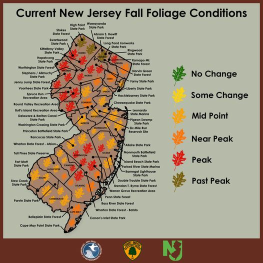 NewJerseyDEP's tweet photo. 🍁🍂 Fall Foliage Update - October 29 🍁🍂
Note: With the impending storm, we expect many leaves to fall this weekend, pushing sections of the state to past peak.
#FallForNJ https://t.co/T7JbwGtqtB
