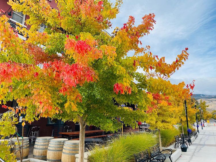 Getaway Reno Tahoe tweet media